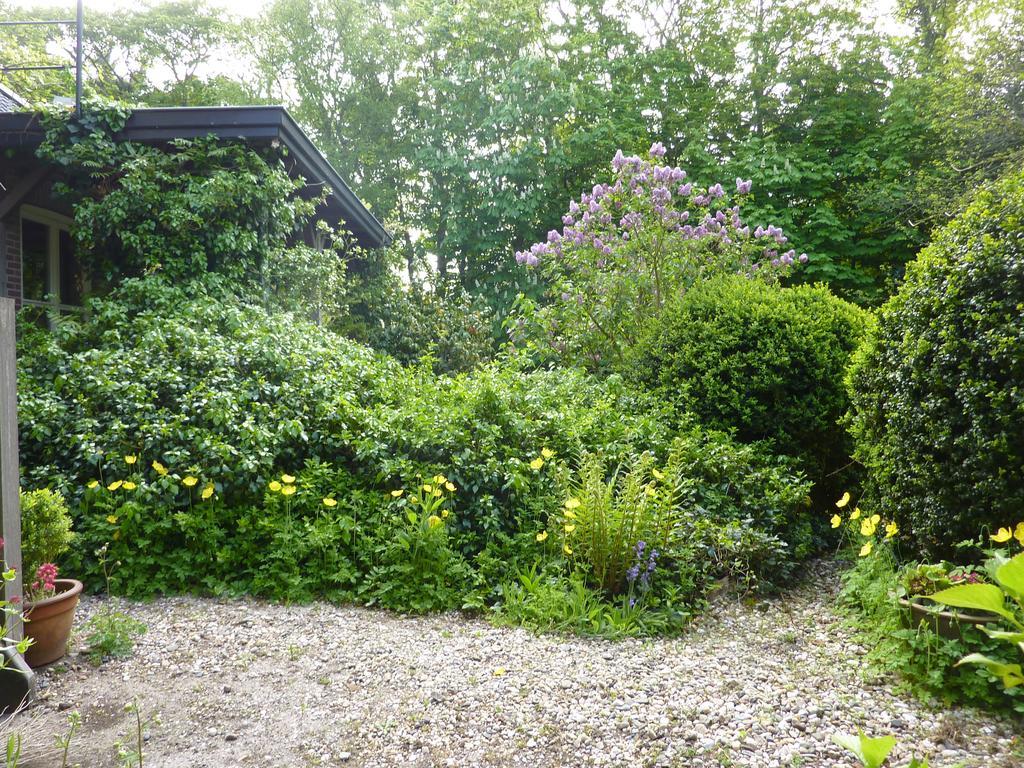 Hotel-Pension Zoom-Oord Renesse Exterior foto